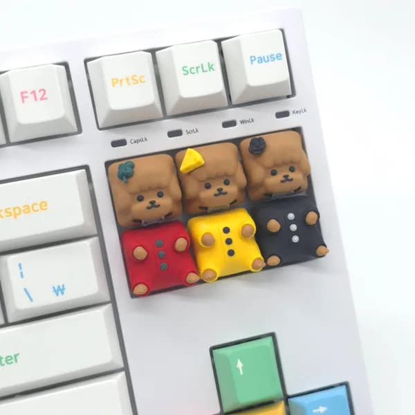 Bongkey